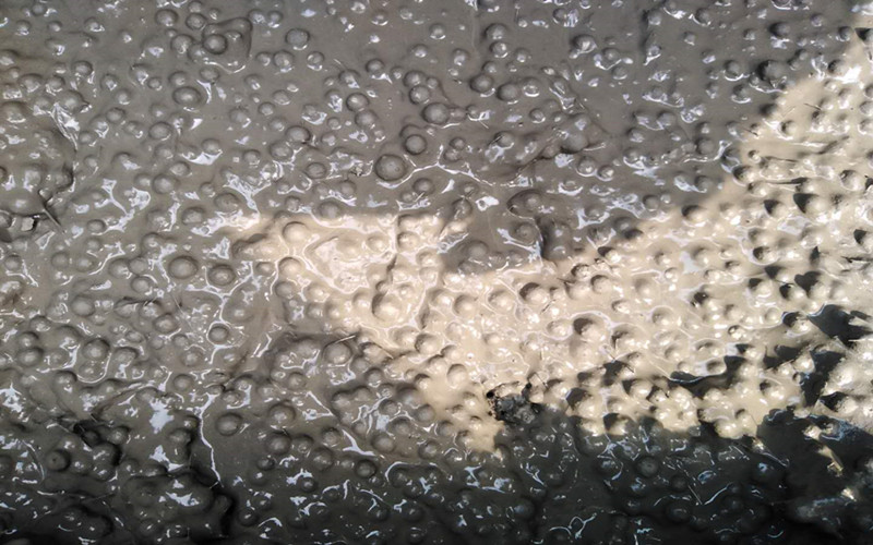 CA88����(�й���) - Ψһ�ٷ���վ